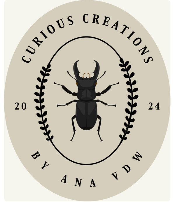 Curious Creations by AnaVDW